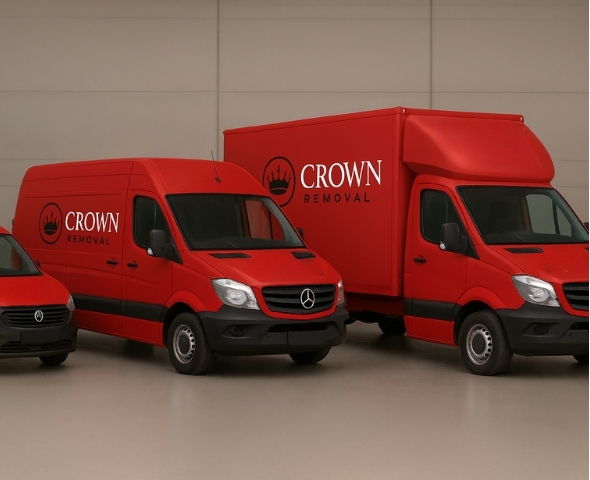 Home Untitled design 21 | Crown Removal